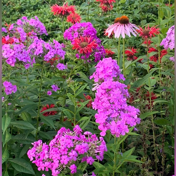 Meet your Posher, Michelle - Picture 6 of 6